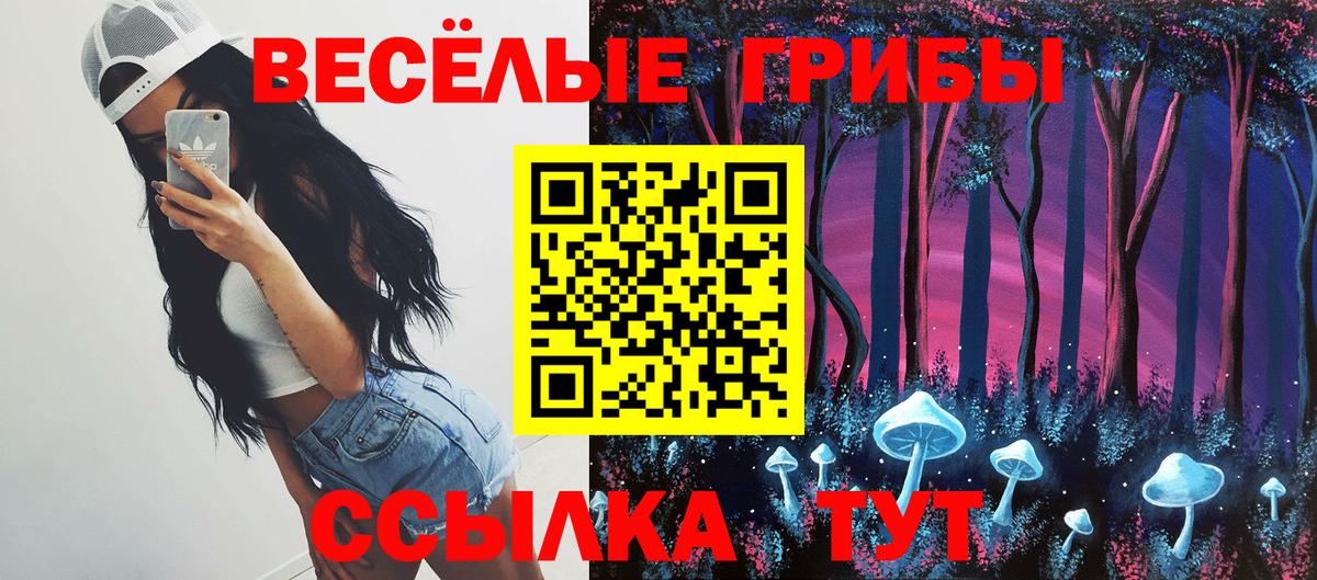 Псилоцибиновые грибы Psilocybine cubensis Сафоново
