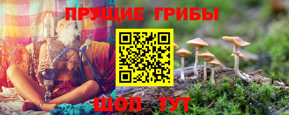 Псилоцибиновые грибы Cubensis  Вход с VPN  Галлюциногенные грибы Psilocybine cubensis  Сафоново 